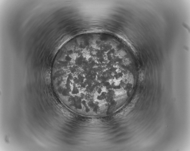 X0000095511409200712281427