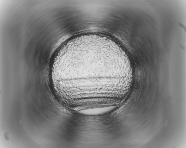 X0000095511410200712281427