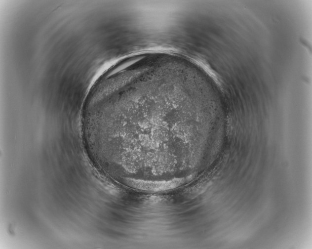 X0000095511412200712281427