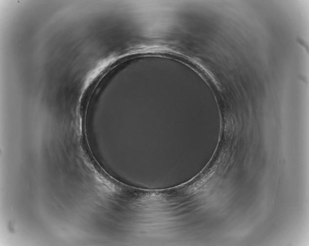 X0000095511414200712281427