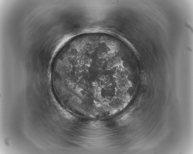 X0000095511416200712281427