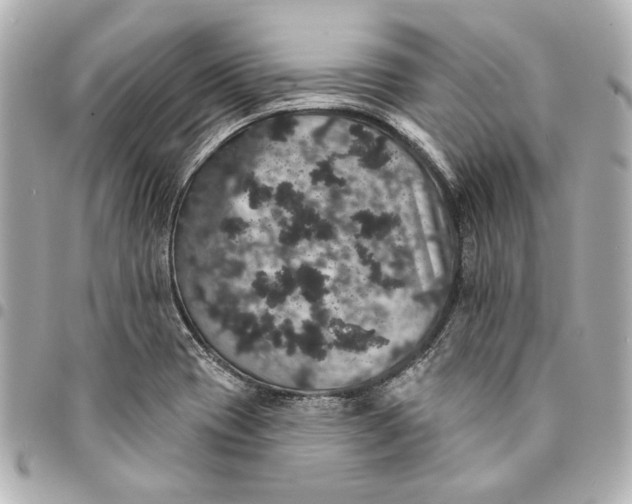 X0000095511417200712281427