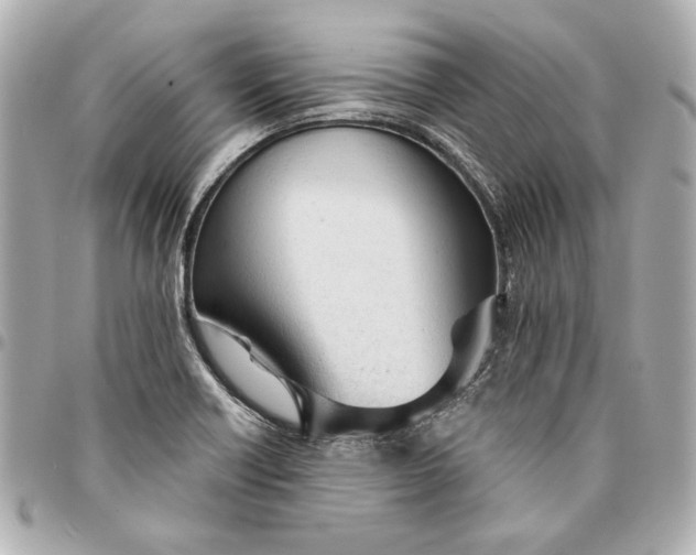 X0000095511418200712281427