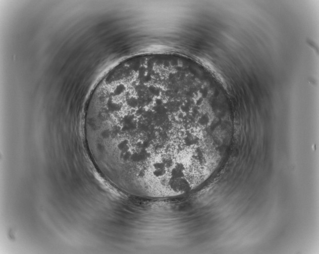 X0000095511421200712281427
