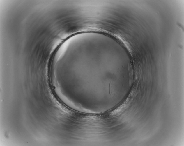 X0000095511422200712281427