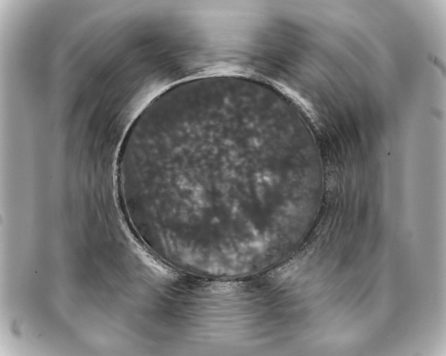 X0000095511423200712281427