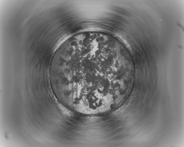 X0000095511425200712281428