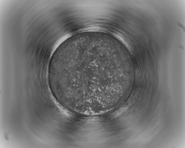 X0000095511426200712281428
