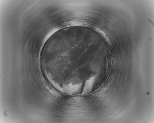 X0000095511427200712281428