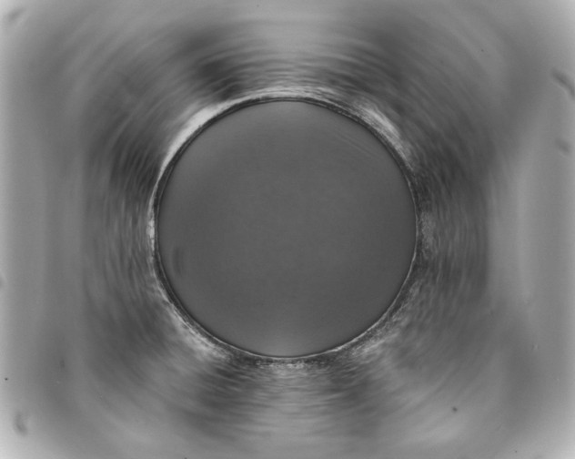 X0000095511428200712281428