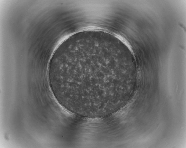 X0000095511429200712281428