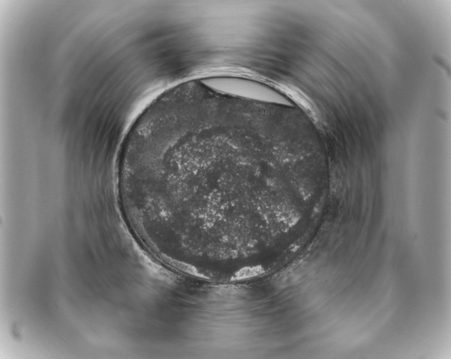 X0000095511430200712281428