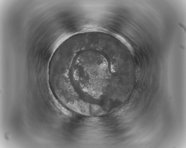 X0000095511431200712281428