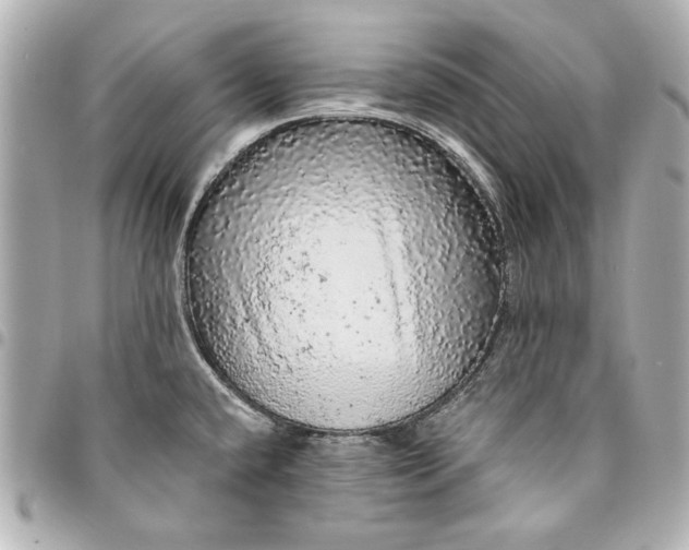 X0000095511432200712281428