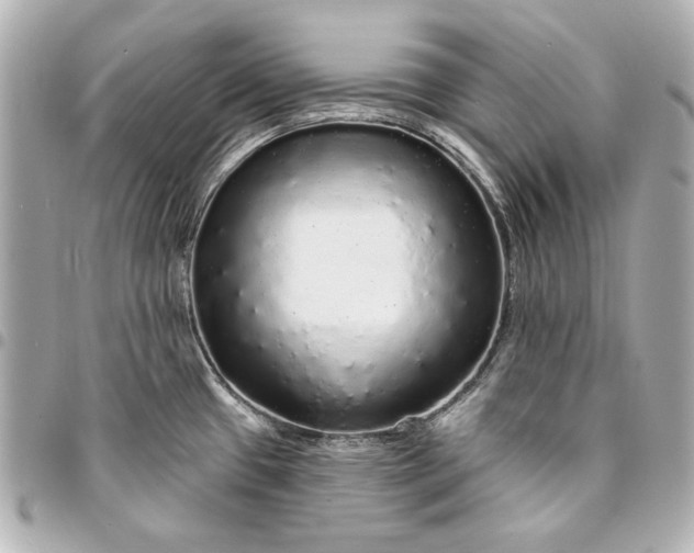 X0000095511433200712281428