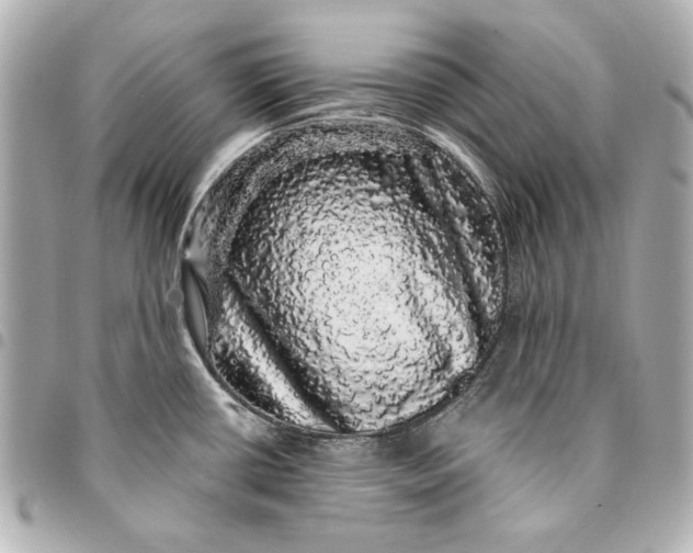X0000095511434200712281428