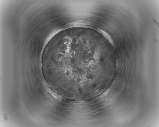 X0000095511435200712281428
