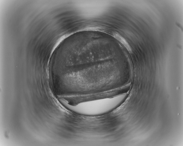 X0000095511436200712281428
