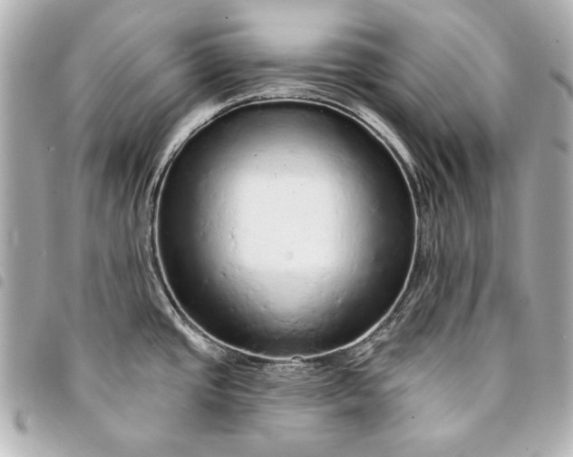 X0000095511437200712281428