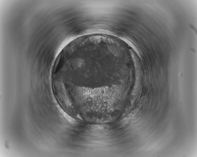 X0000095511438200712281428