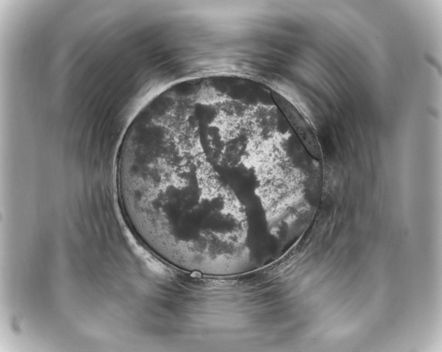 X0000095511439200712281428