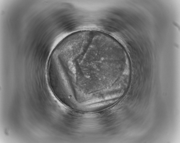 X0000095511440200712281428