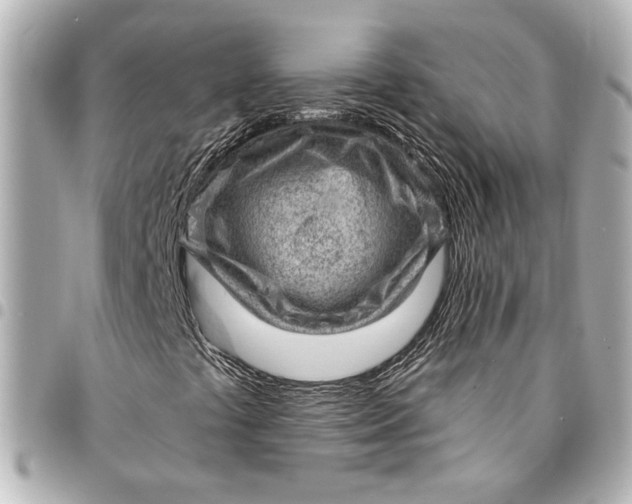 X0000095511441200712281427