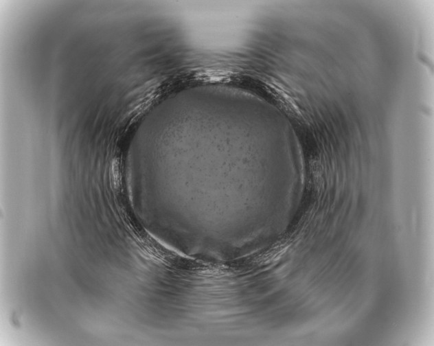 X0000095511442200712281427