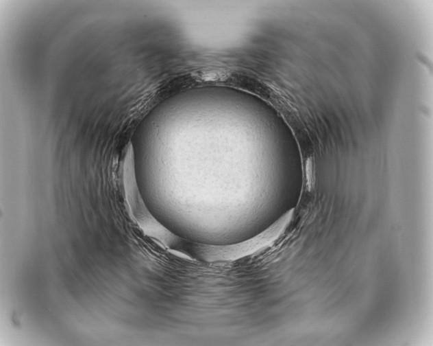 X0000095511443200712281427