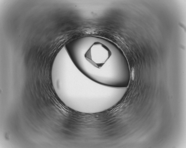 X0000095511444200712281427