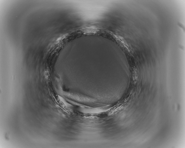 X0000095511445200712281427
