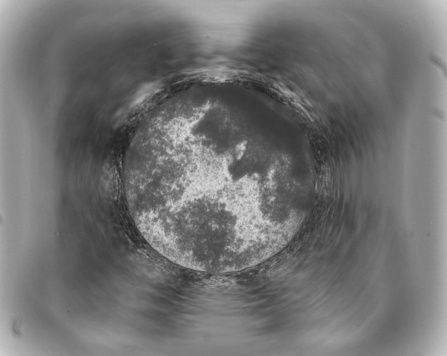 X0000095511446200712281427