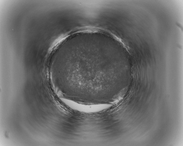X0000095511448200712281427