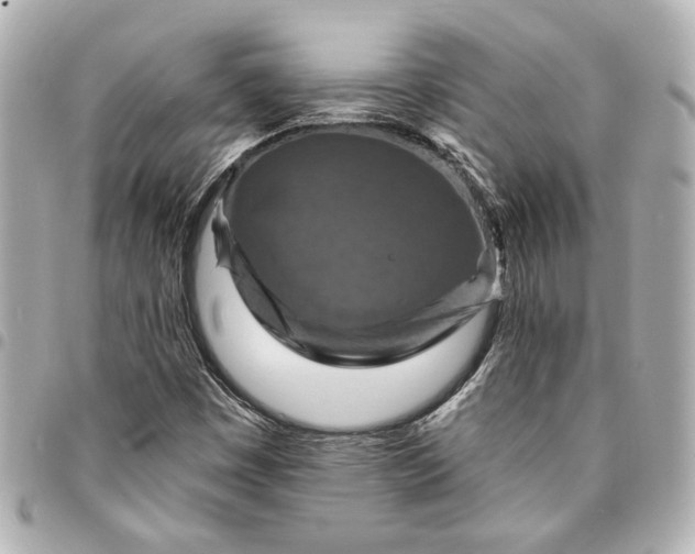X0000095511449200712281427
