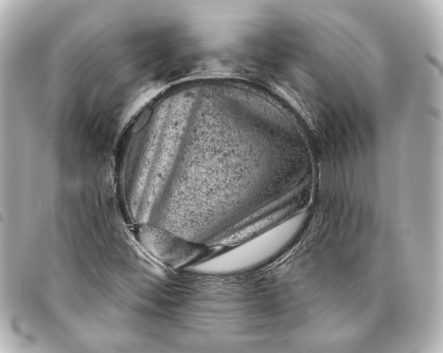 X0000095511452200712281427