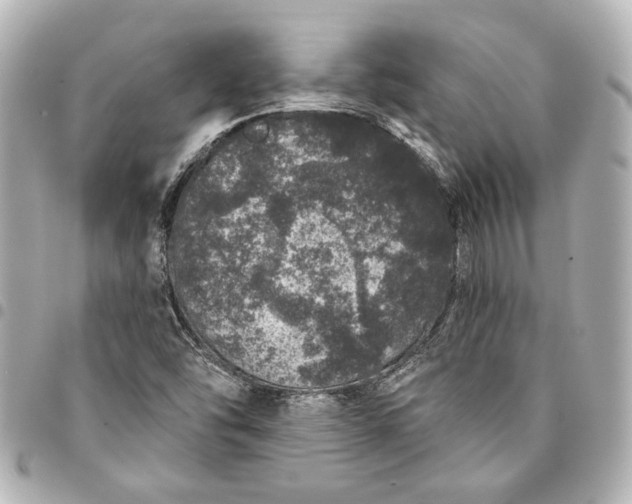 X0000095511454200712281427