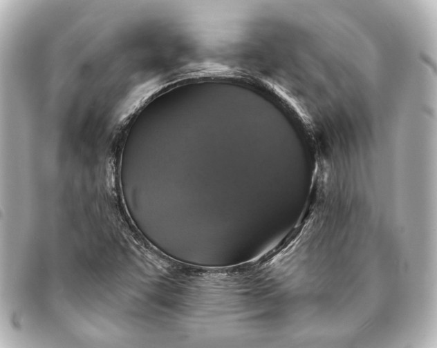 X0000095511455200712281427