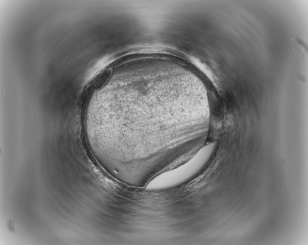 X0000095511456200712281427