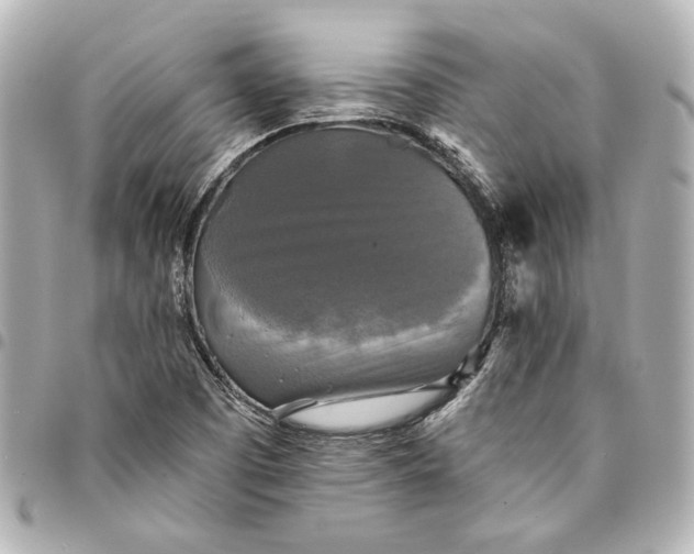 X0000095511457200712281427