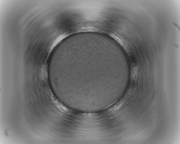 X0000095511458200712281427