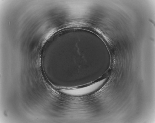 X0000095511459200712281427