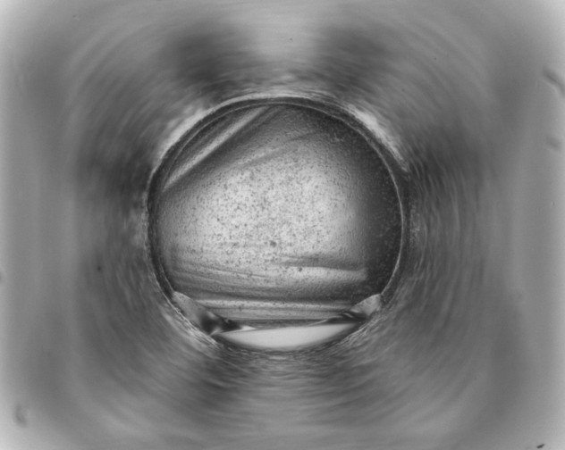 X0000095511460200712281427