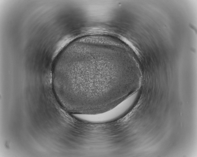 X0000095511461200712281427