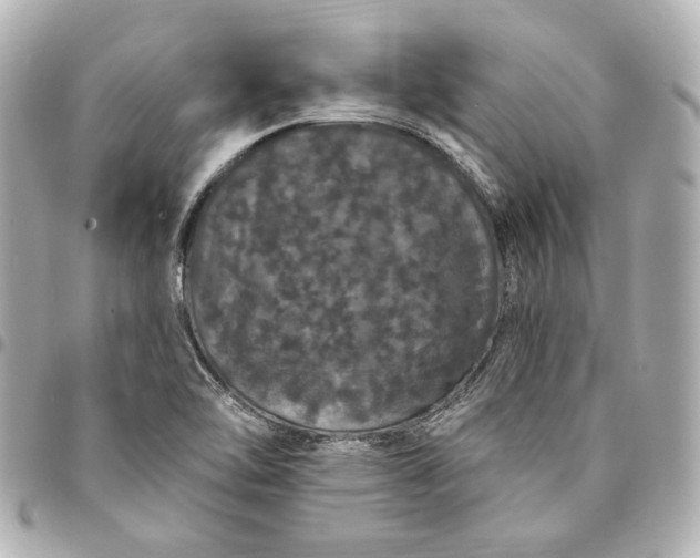X0000095511462200712281427
