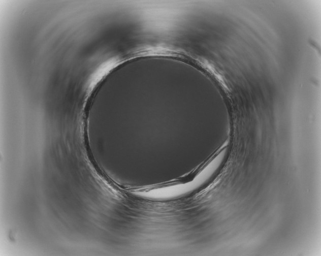 X0000095511463200712281427