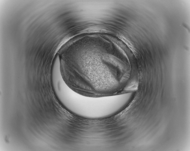 X0000095511465200712281427