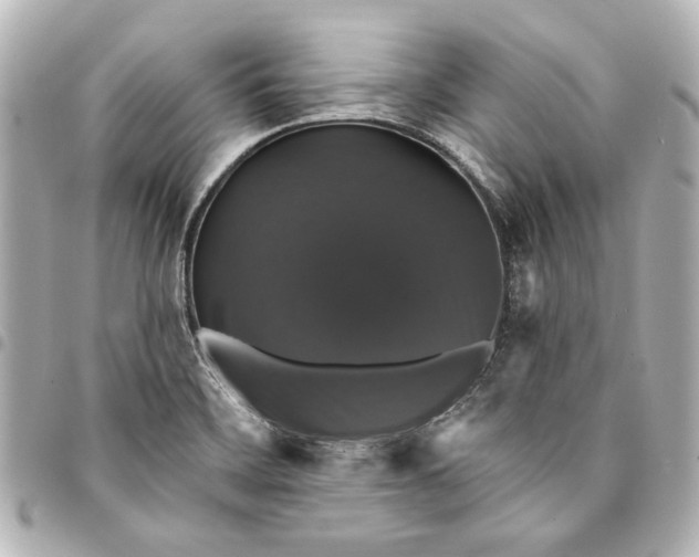 X0000095511468200712281427