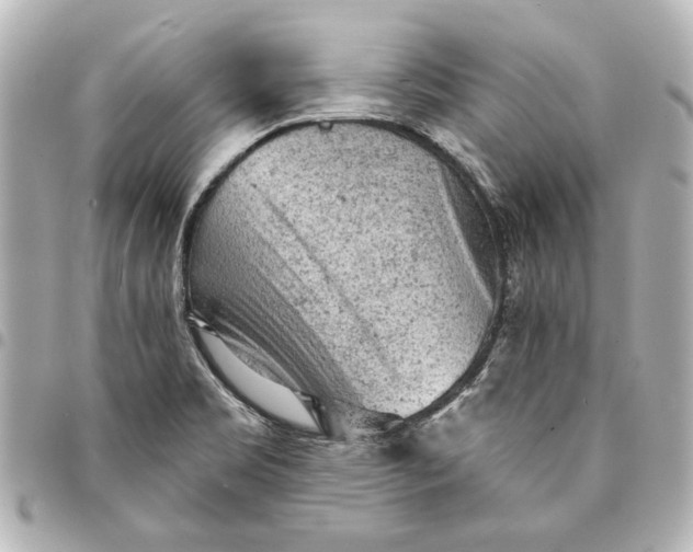 X0000095511469200712281427