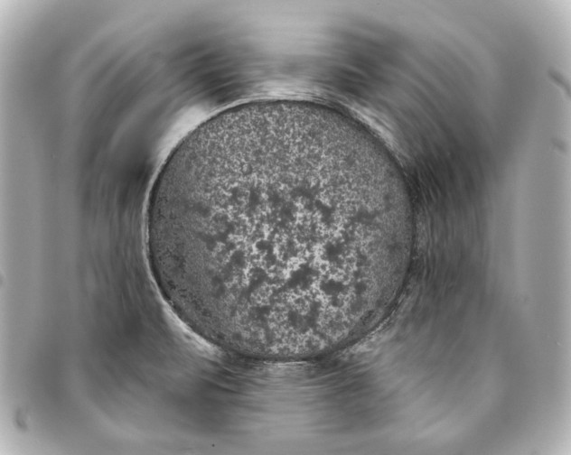 X0000095511471200712281426
