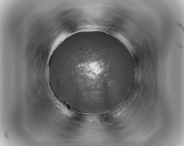 X0000095511472200712281426
